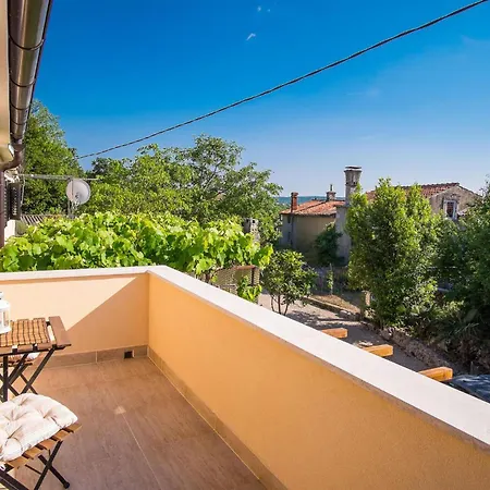 Vakantiehuis Pet Friendly In