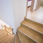 Pet Friendly In *
